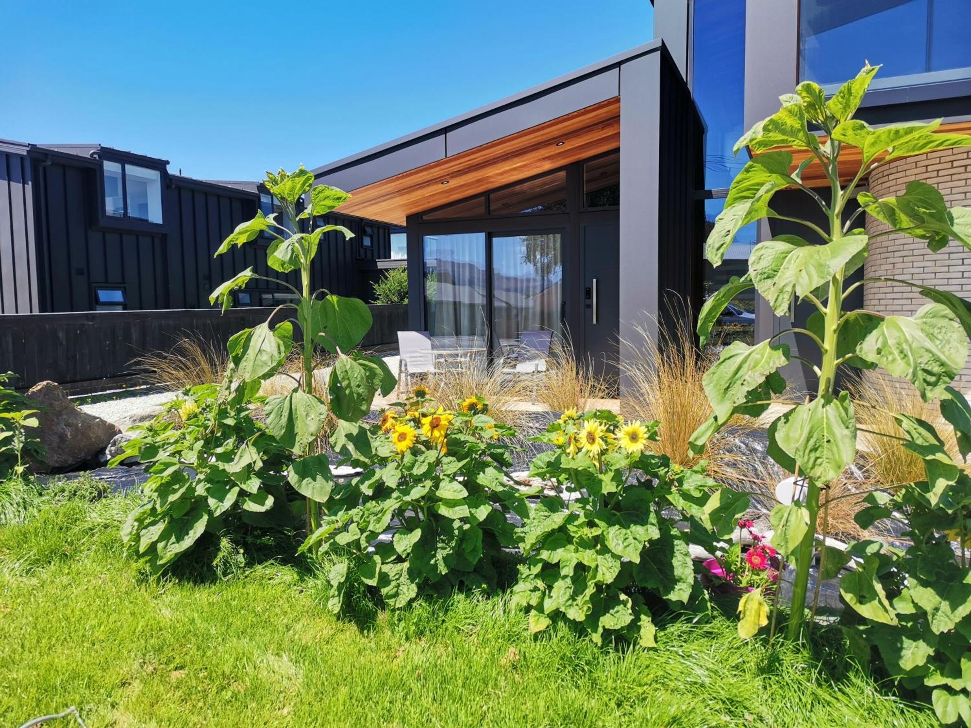 Roys View Apartment Wanaka Exterior photo